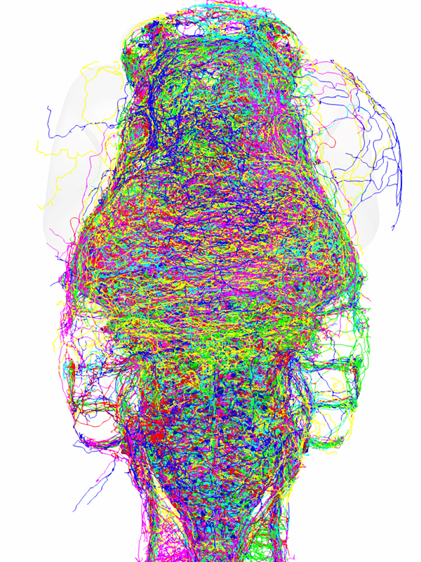 中国科学院脑科学数据中心